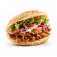 Kebab solo carne